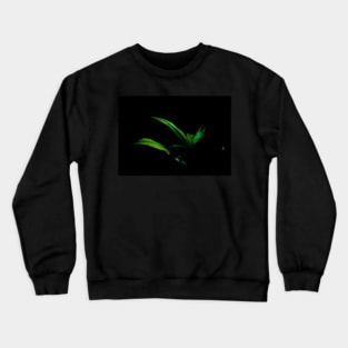 Bright green palm frond caught in sun against black background Crewneck Sweatshirt